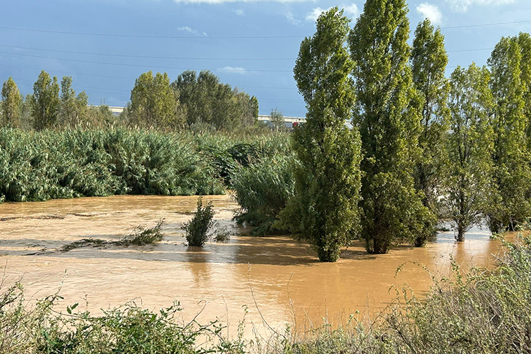 El riu Llobregat, al pas per Sant Boi