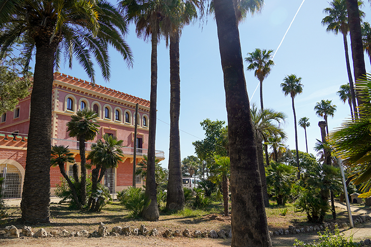 Palmeres davant el Palau de Marianao