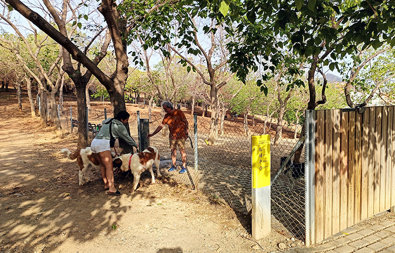 Espai esbarjo gossos