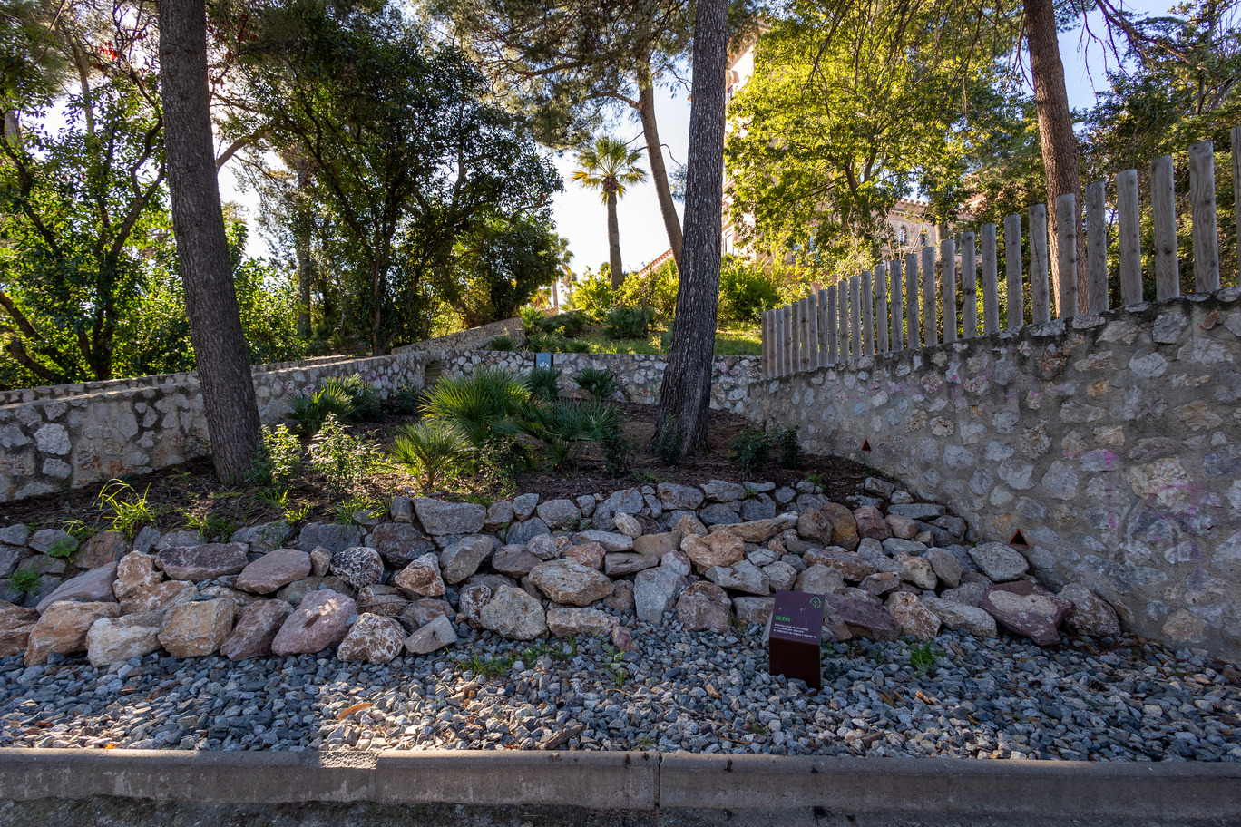 Resultat de les obres de renaturalització del parc