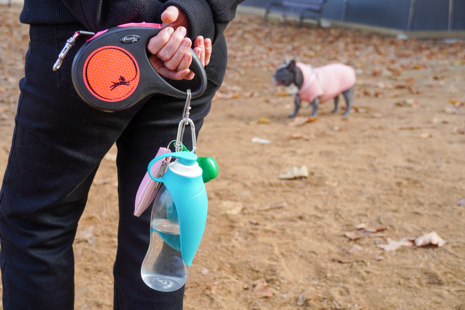 El nou espai està reservat a gossos d'un màxim de 15 kg