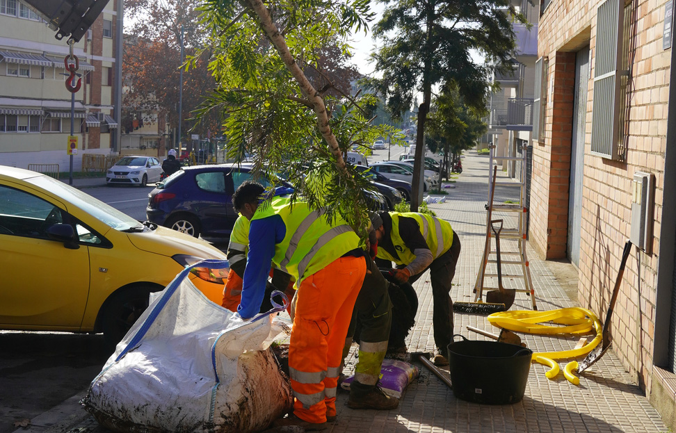 Uns operaris planten un arbre al barri de Camps Blancs