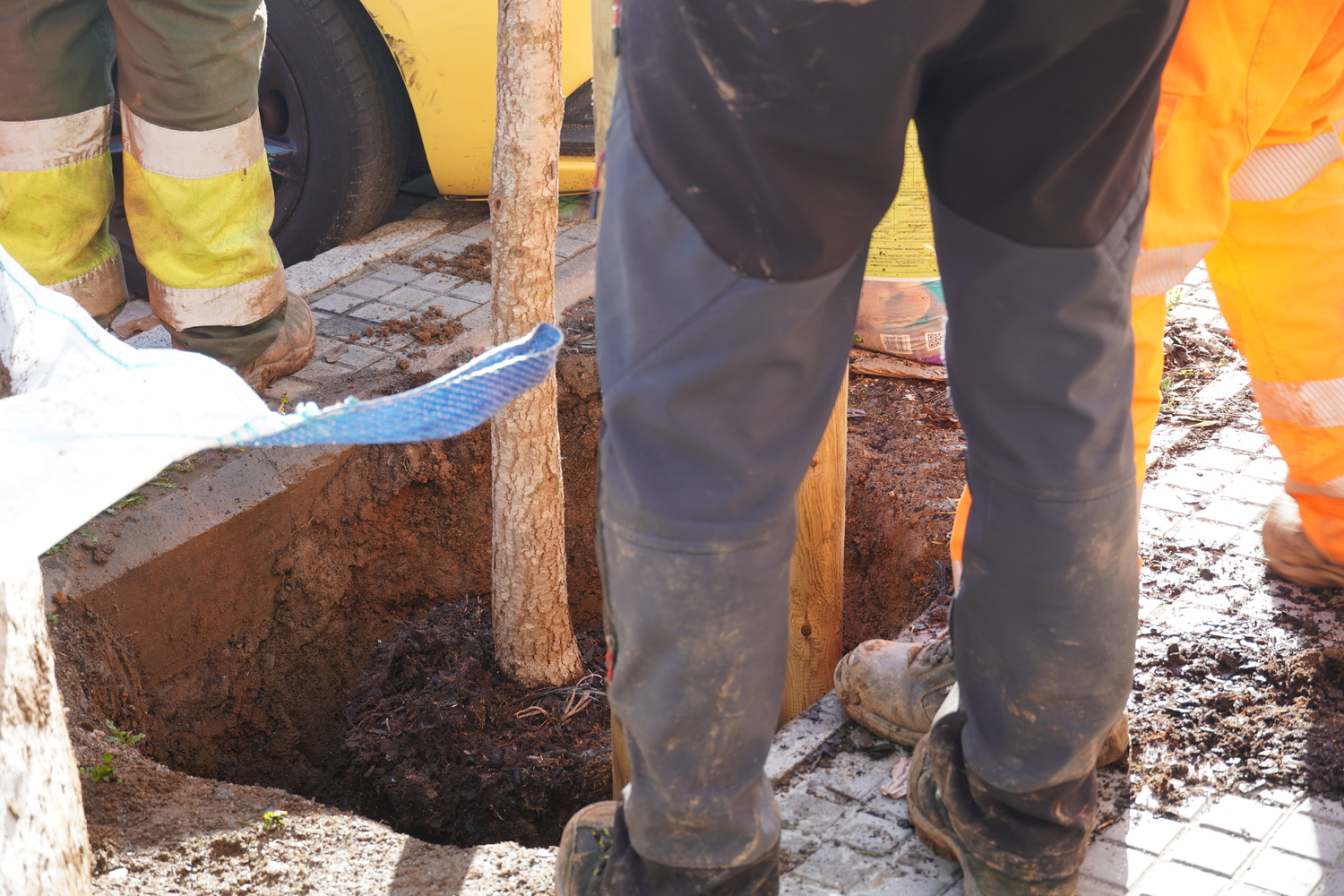 Els treballs es van iniciar la setmana passada
