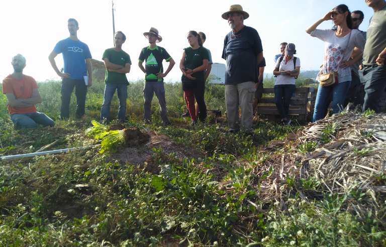Estrena del documental Regensòl+
