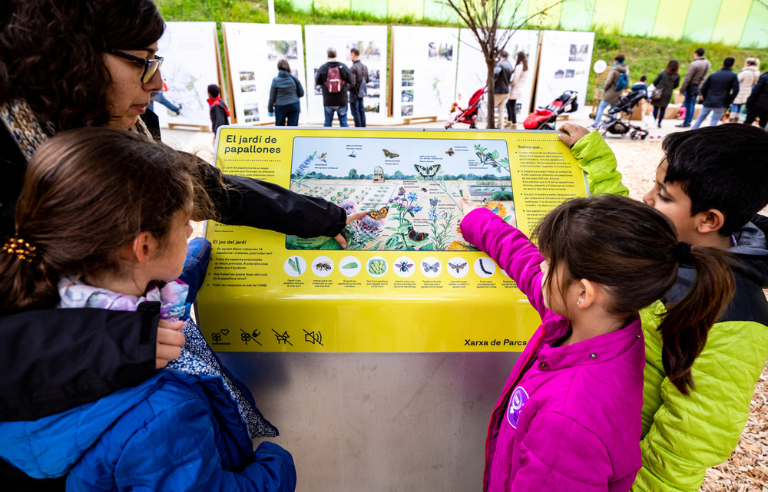 Jugatecambiental: El dia de les papallones