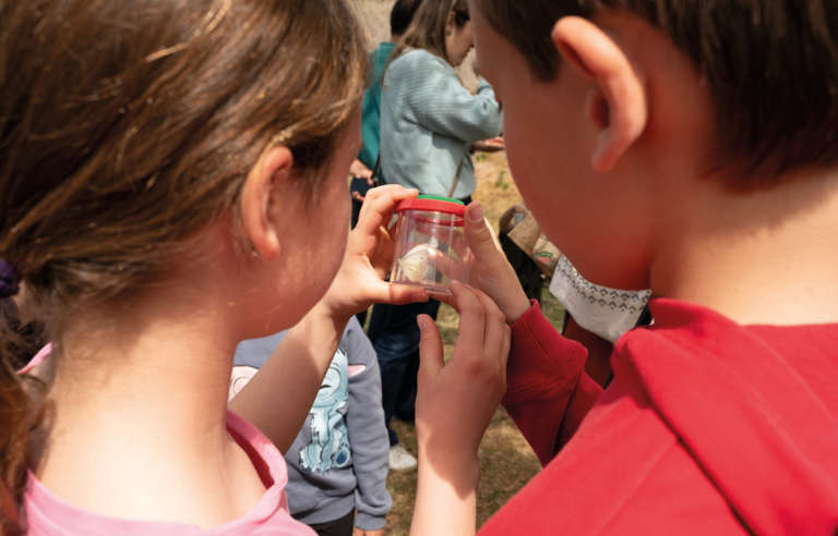 Jugatecambiental: 9è Bioblitz Metropolità. Ciència ciutadana