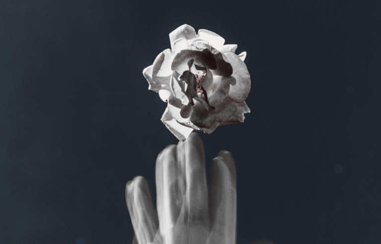 Dia de la Poesia 2026 