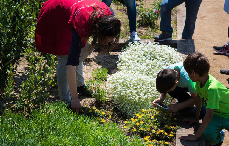 Jugatecambiental: Safari fotogràfic