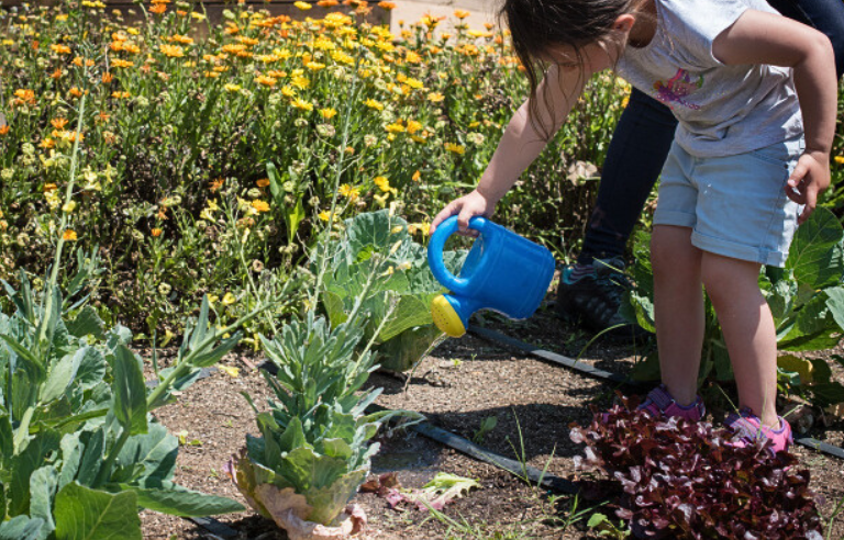 Jugateca la ciència de l'aigua