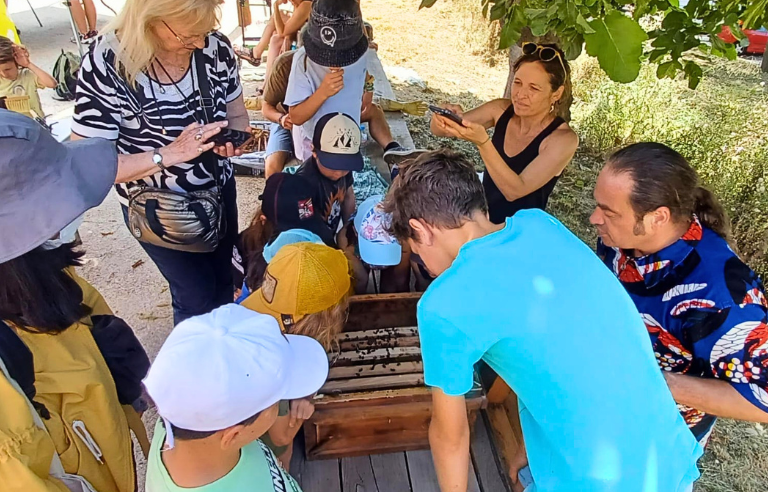 Taller d’abelles a la Setmana de la Natura