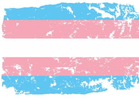 Bandera Trans