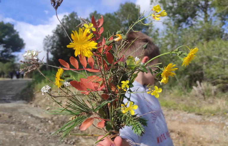 Sortida guiada: Plantes del bosc a la tardor i els seus fruits