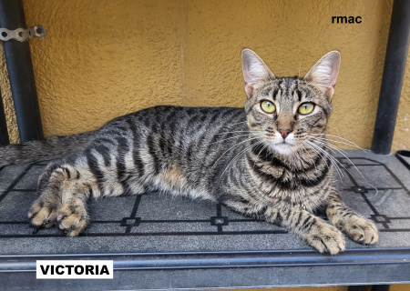 VICTORIA