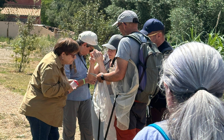 A25_Setmana Natura itinerari papallones