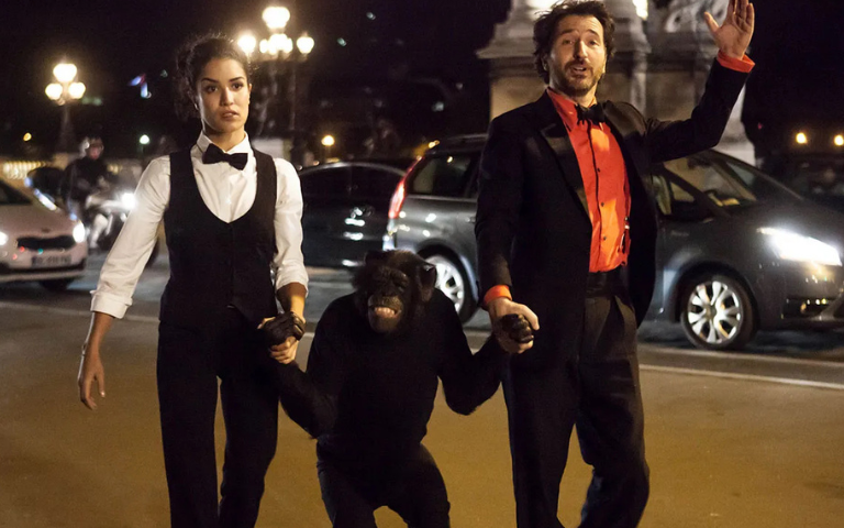 Cicle Francès de Cinema