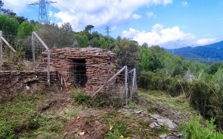 Barraques de pedra seca del Montbaig