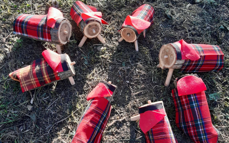 Anem a buscar el tió de Nadal