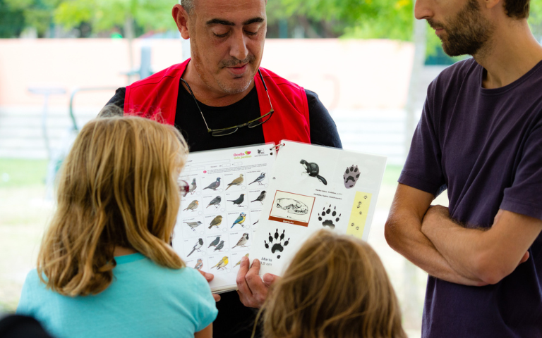 La fauna secreta del parc i taller de petjades