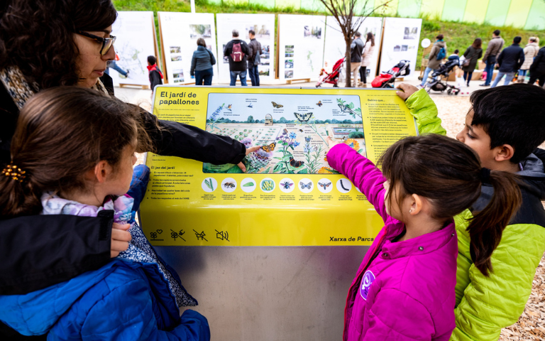 Jugatecambiental: El dia de les papallones