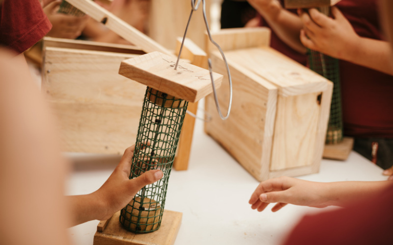 Jugateca El conte dels ocells