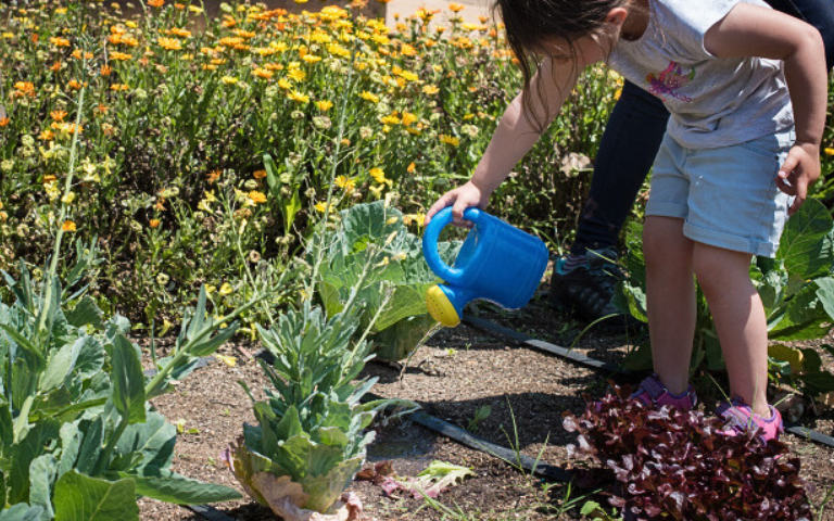 Jugateca la ciència de l'aigua