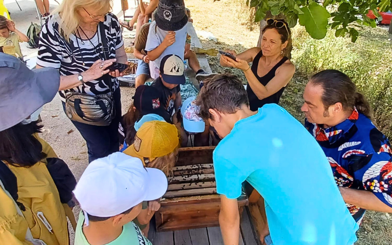 Taller d’abelles a la Setmana de la Natura