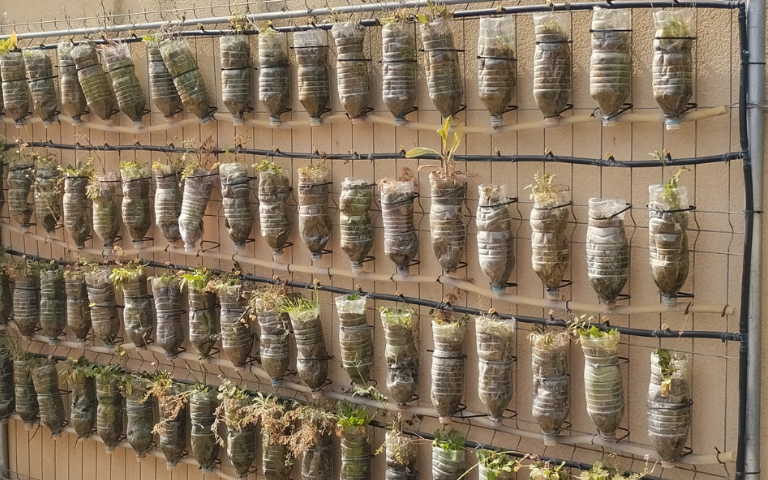 Jugatecambiental: Un hort en ampolles