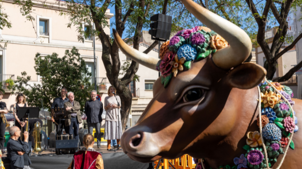 Presentació del Bou de Sant Boi
