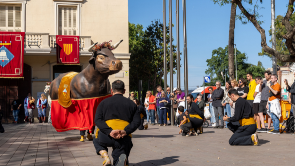 Presentació del Bou de Sant Boi