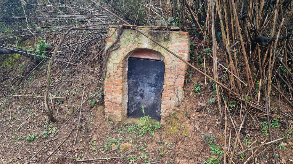 Riera de Can Carreres