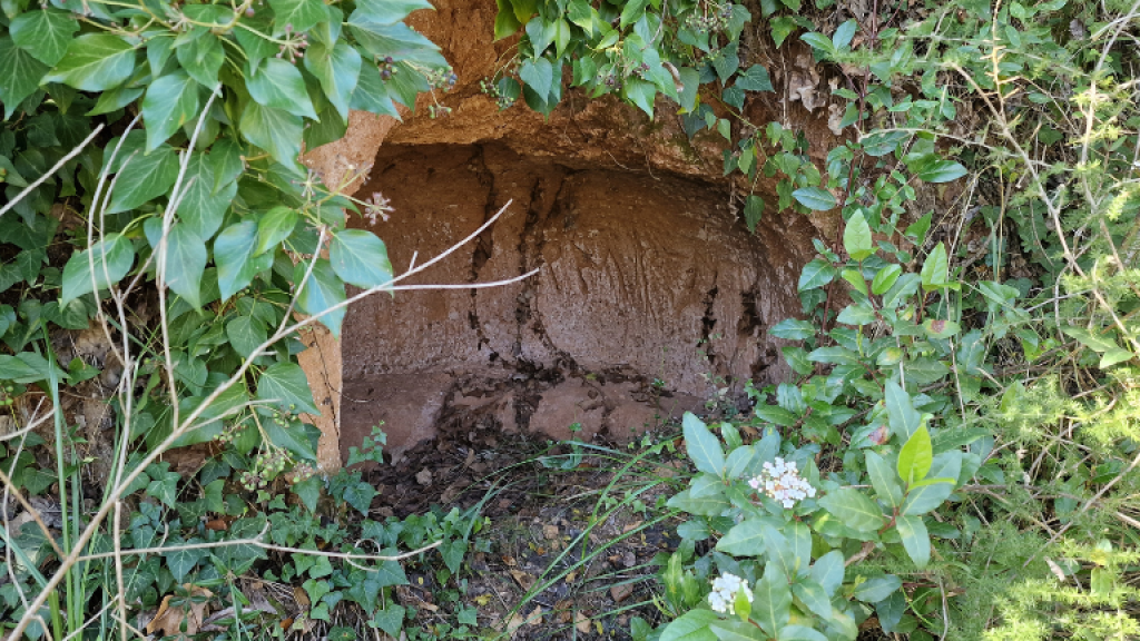 Riera de Can Carreres