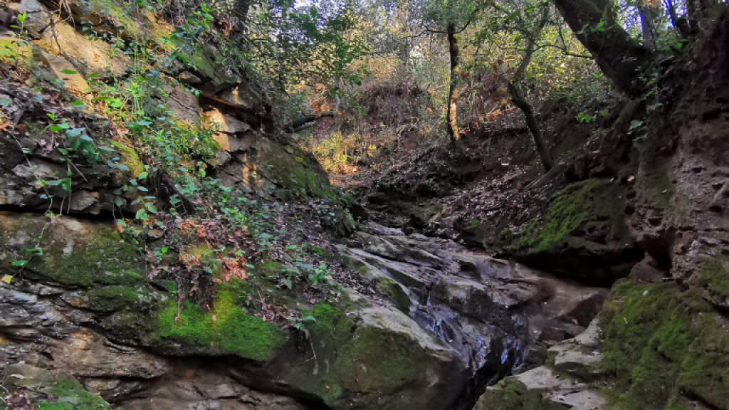 Riera de Can Carreres