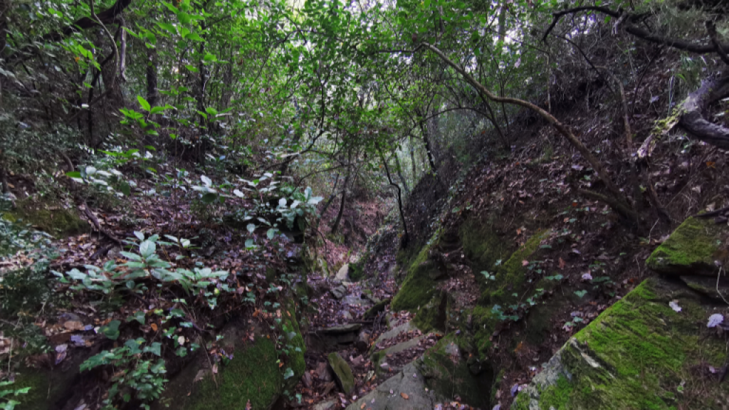 Riera de Can Carreres