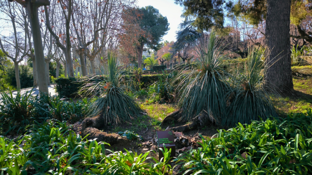Jardins del parc sanitari SJD