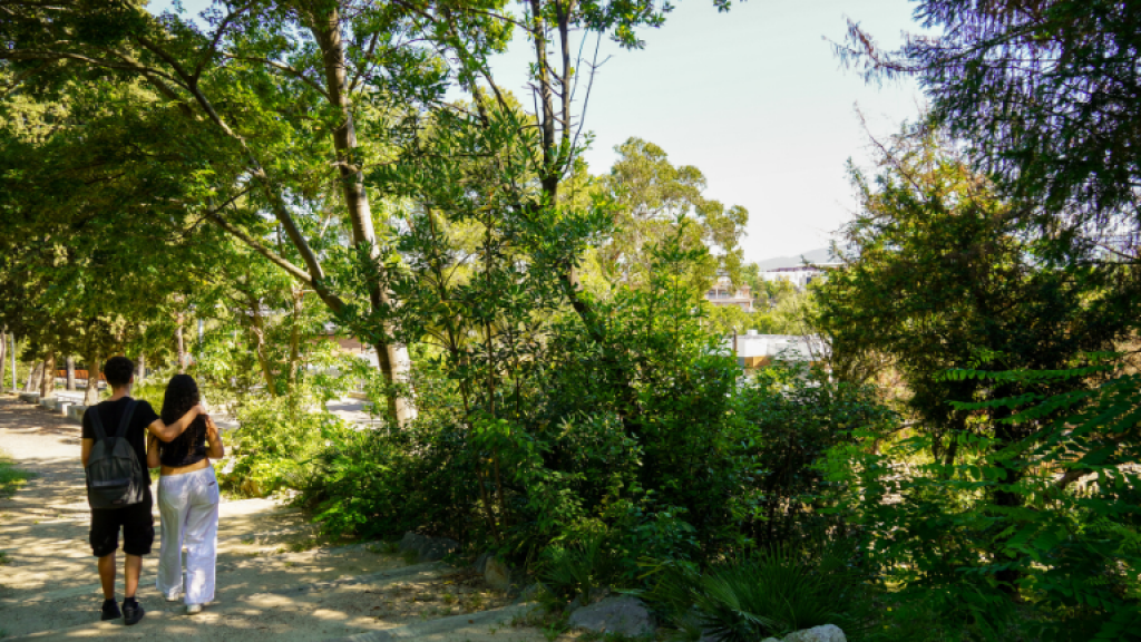 Palau Marianao SBR+V