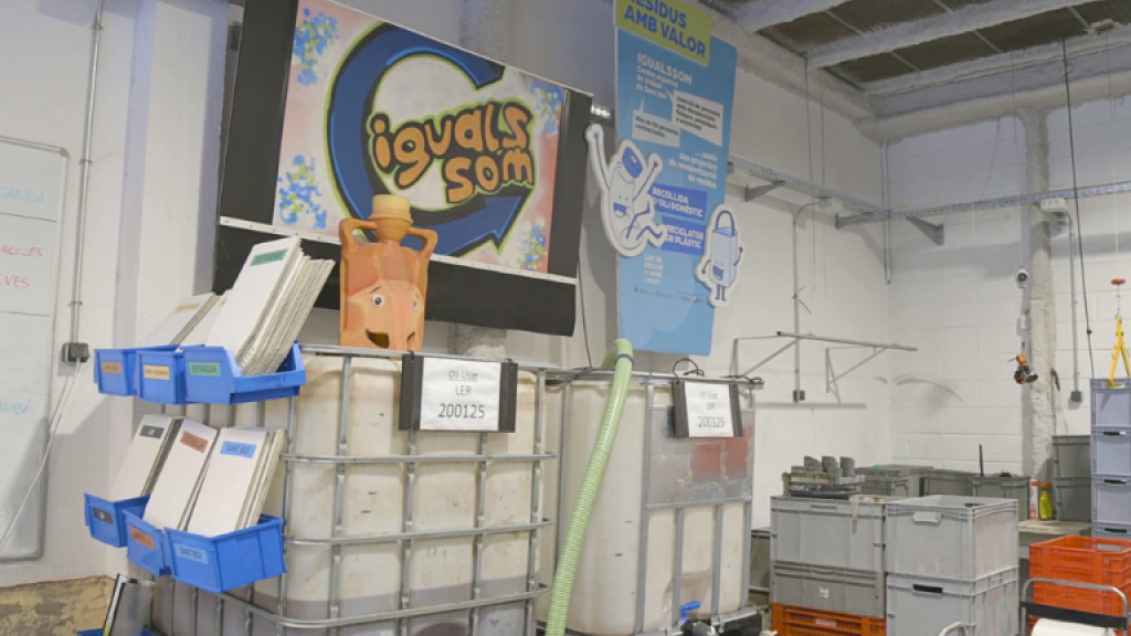 Igualssom oli domèstic