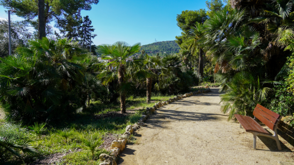 Palau Marianao SBR+V