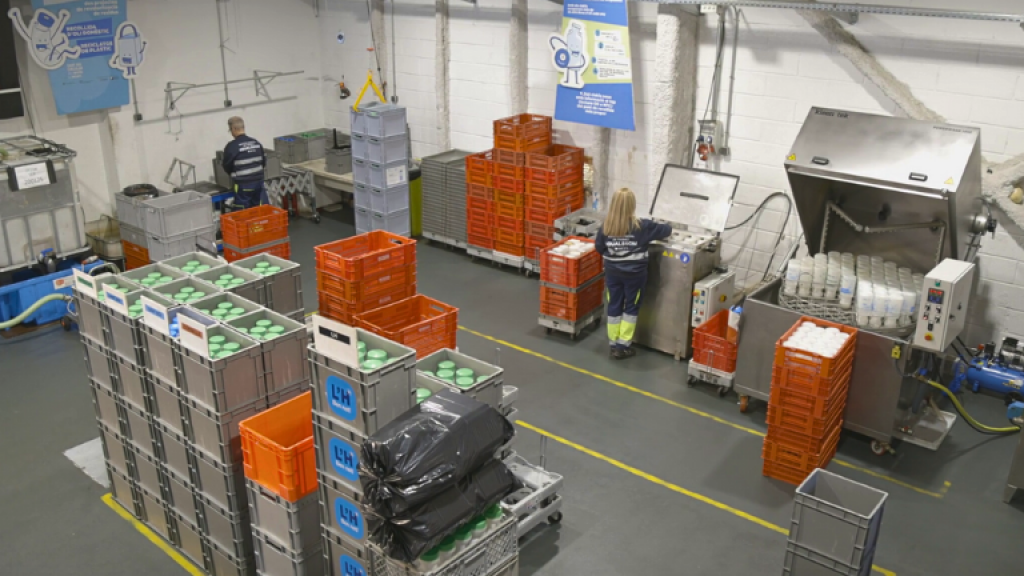 Igualssom oli domèstic