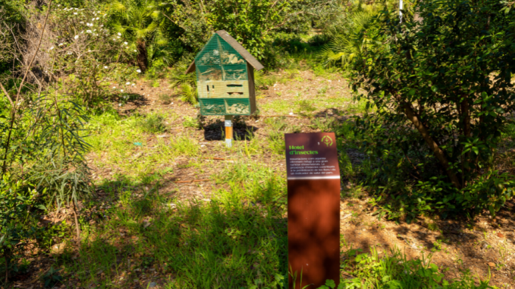 Parc Palau Marianao SBR+V