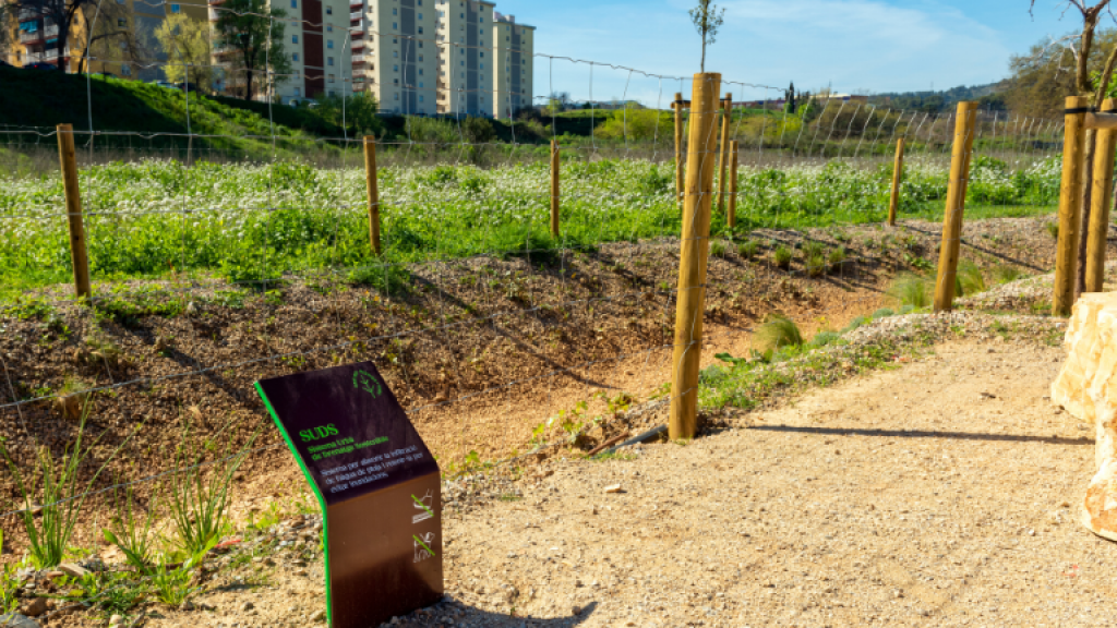 Riera Can Soler SBR+V