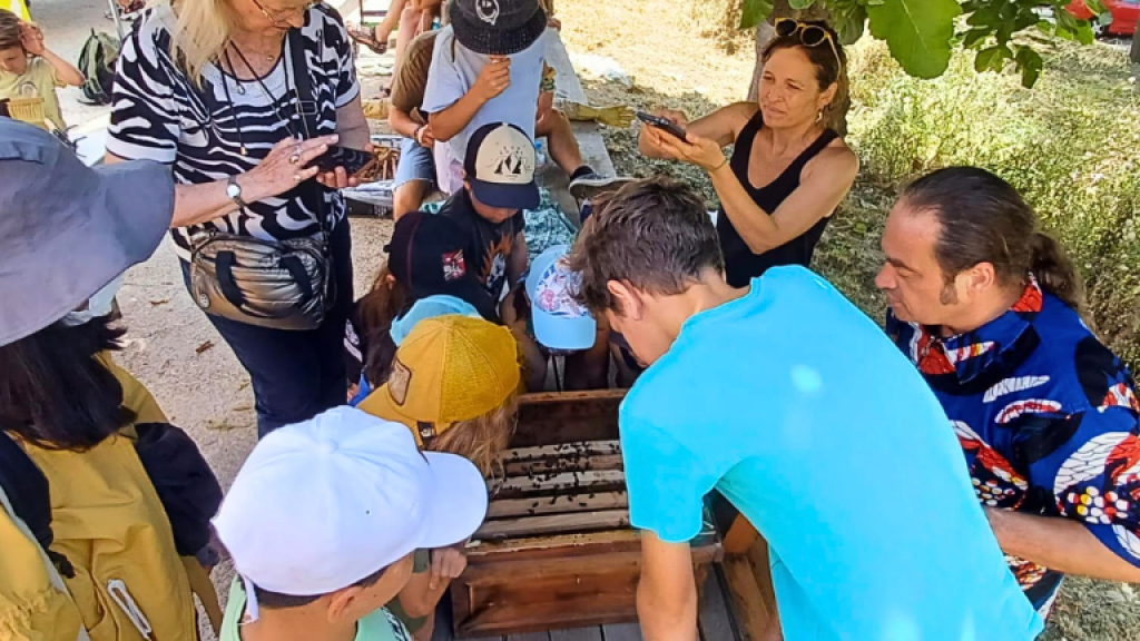 Taller d’abelles a la Setmana de la Natura