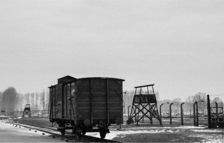 Vies de tren amb un vagó enmig d'un paisatge gris i nevat