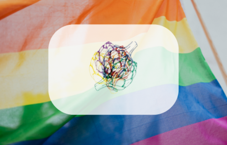 Bandera LGTBI+ de fons amb la carxofa de colors