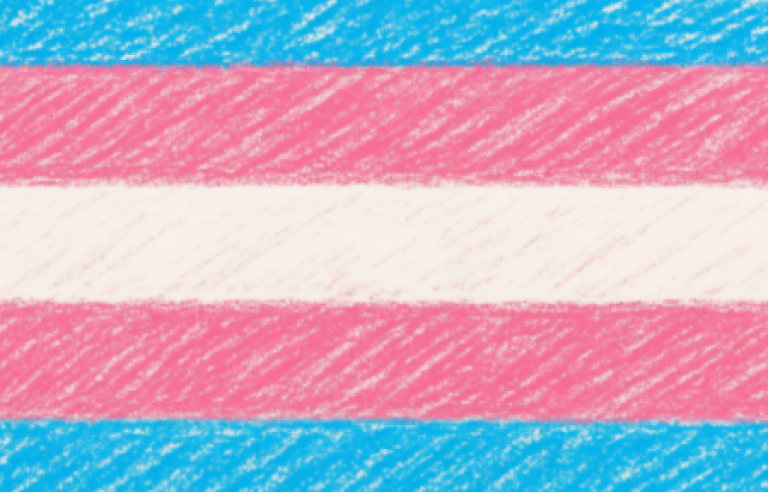 Bandera Trans amb els colors blau cel, rosa i blanc